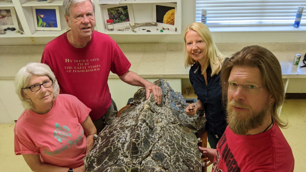 Four people stand around the shell of Asmodochelys leviathan, a giant ancient turtle